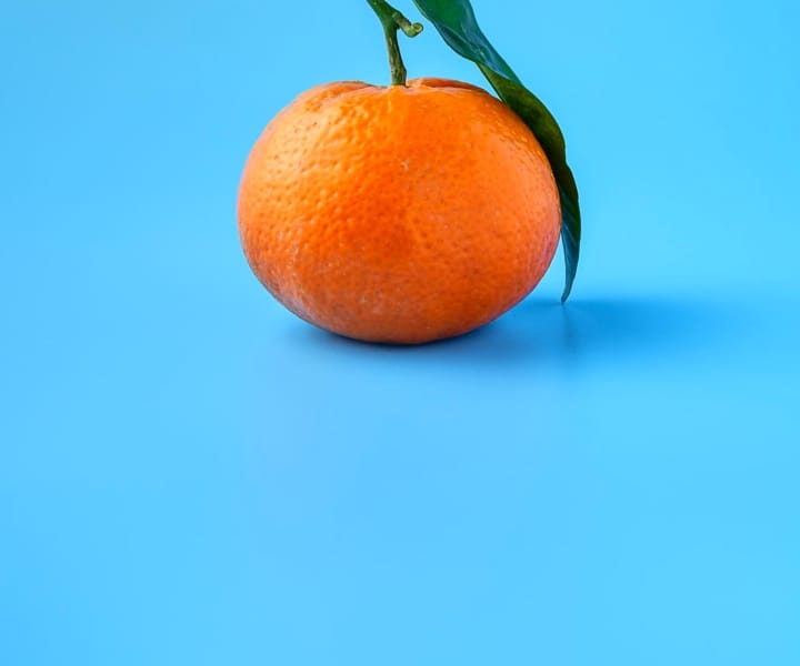 Orange Fruit